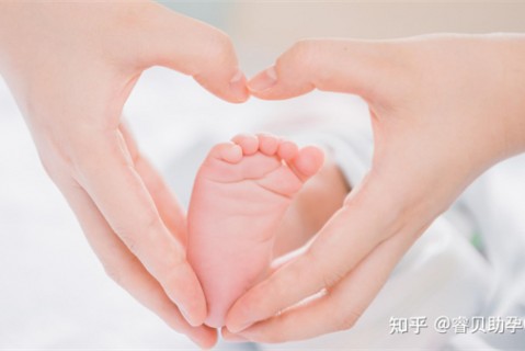 http://hefei.51dzb.net/post/188.html|合肥新闻中心
